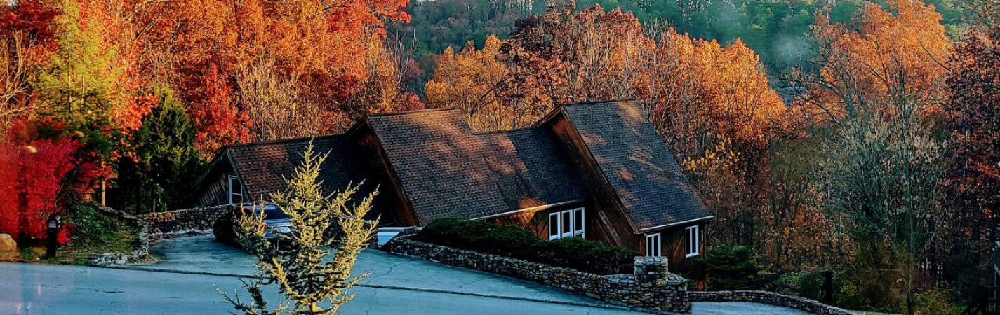 Fall at Stonehill Breeders Home in Louisville Kentucky USA