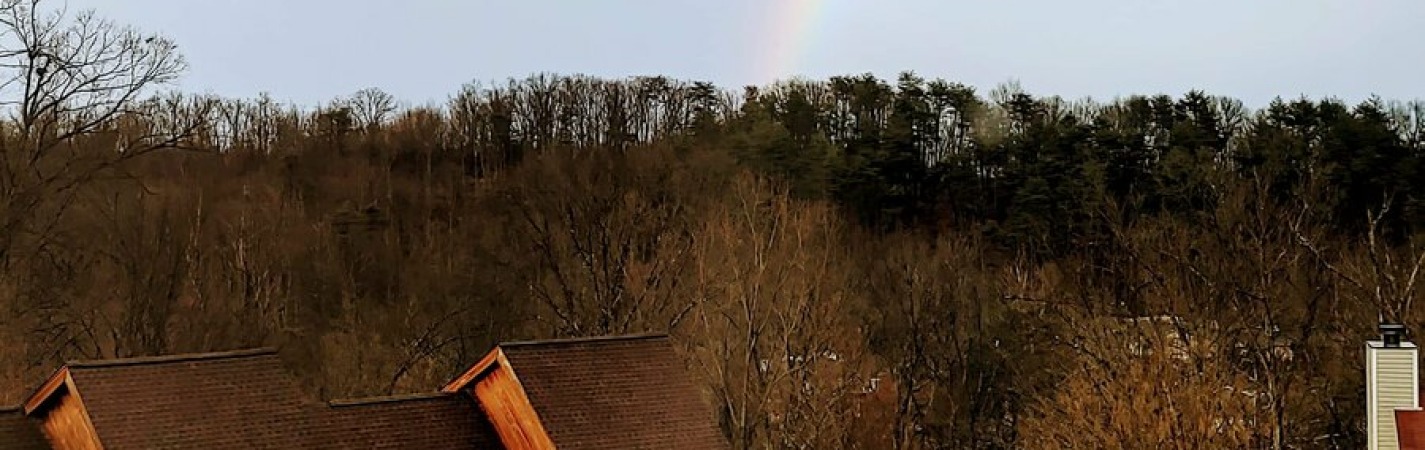 Stonehill Breeders Home was at the end of the rainbow on Saint Patricks Day